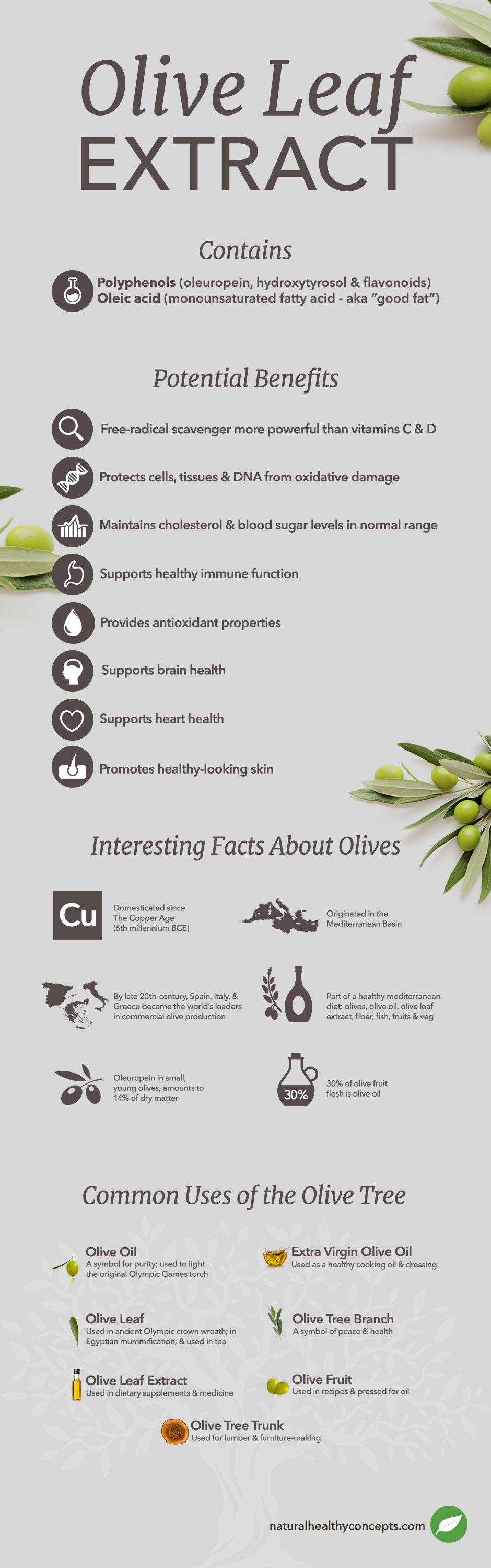 What is Olive Leaf