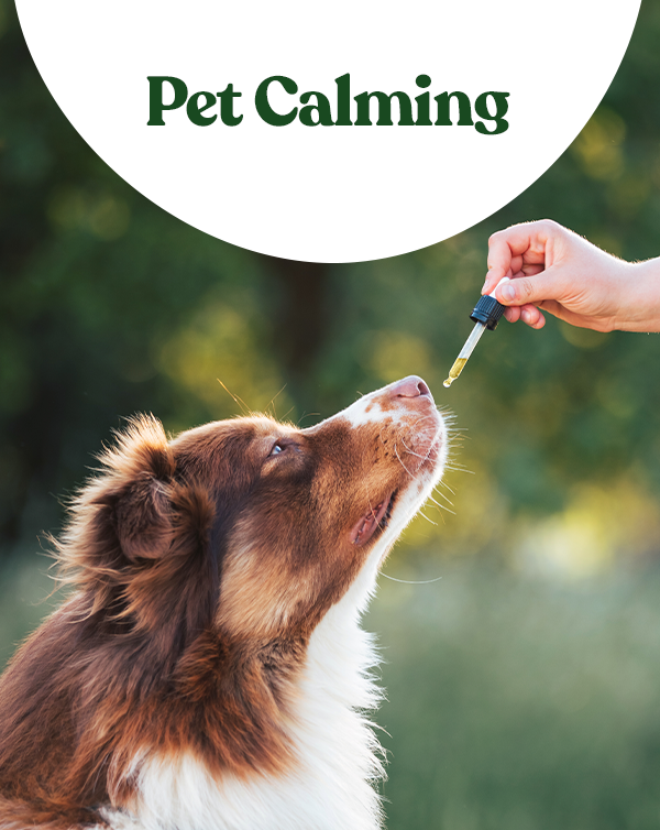 Pet Calming